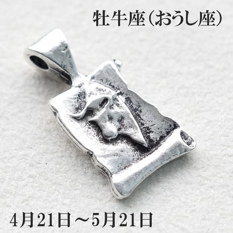 12星座各種メタルチャーム　10個