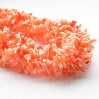 ナチュラルサンゴ チップ 4～6mm