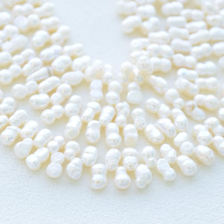 CATEGORY 淡水パール クレオパトラ / ツイン型 | beads lot