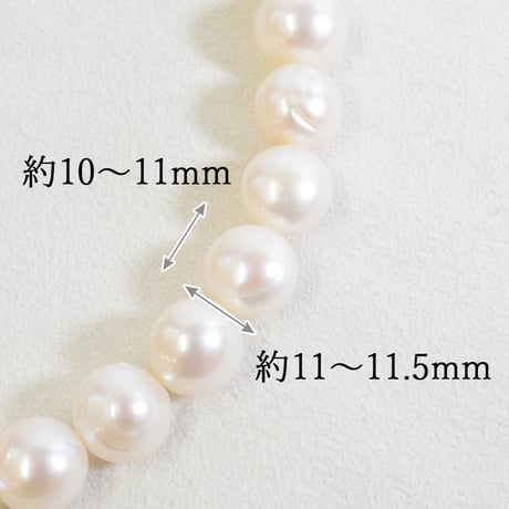 淡水パール ホワイト ラウンド 約10～11mm 【40cm】