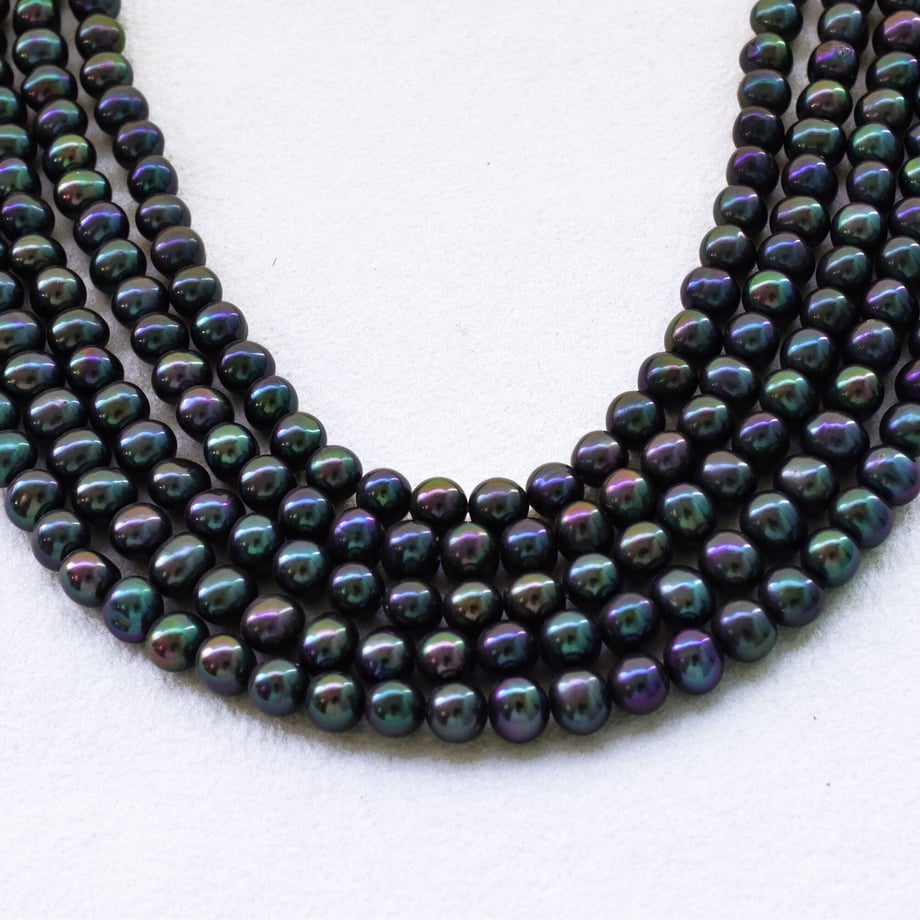 6204d2fe1dca3244fa9fa173