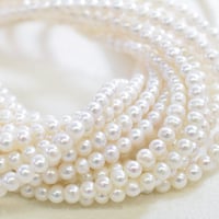 淡水パール ポテト 約2.5mm 【40cm】