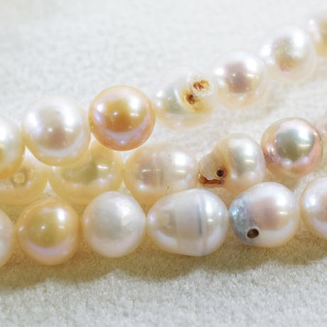 淡水パール マルチ 5～7mm 【40cm】