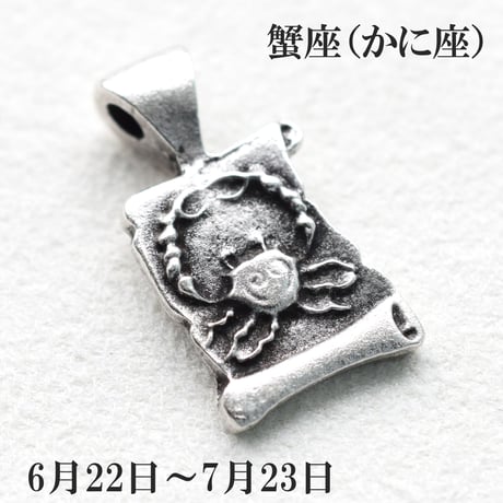 12星座各種メタルチャーム　10個