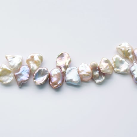 淡水パール  ケシ パープル 15～23ｍｍ  10cm