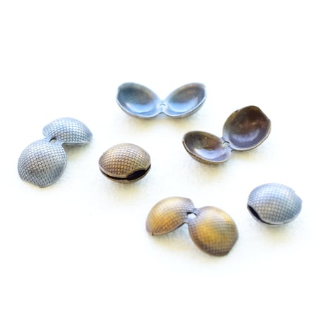 【全２色】シェルキャップ7mm　10個