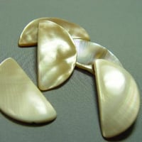 M.O.P. 半月リーフ 28～30mm【2個】