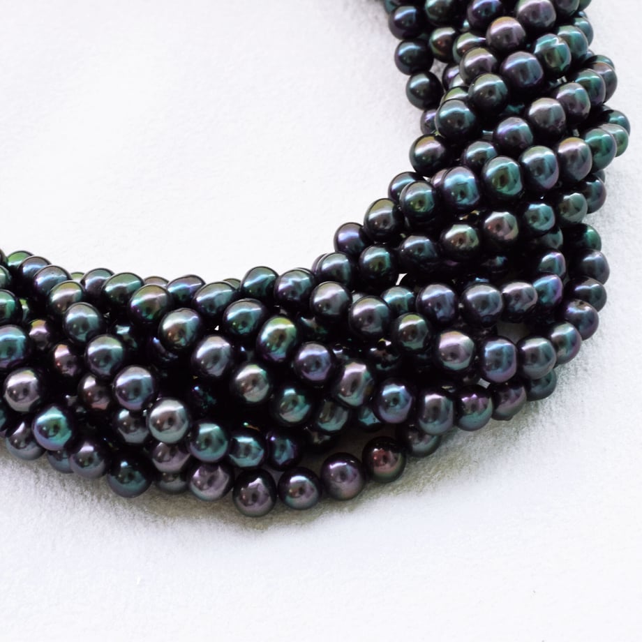 6204d2fe1dca3244fa9fa173