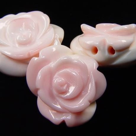 CATEGORY コンクシェル | beads lot