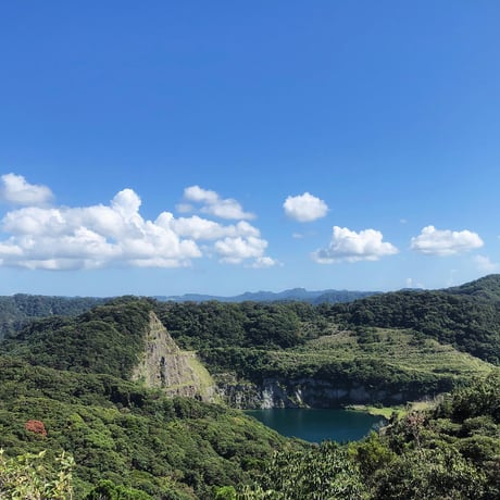 パクチー | STORES