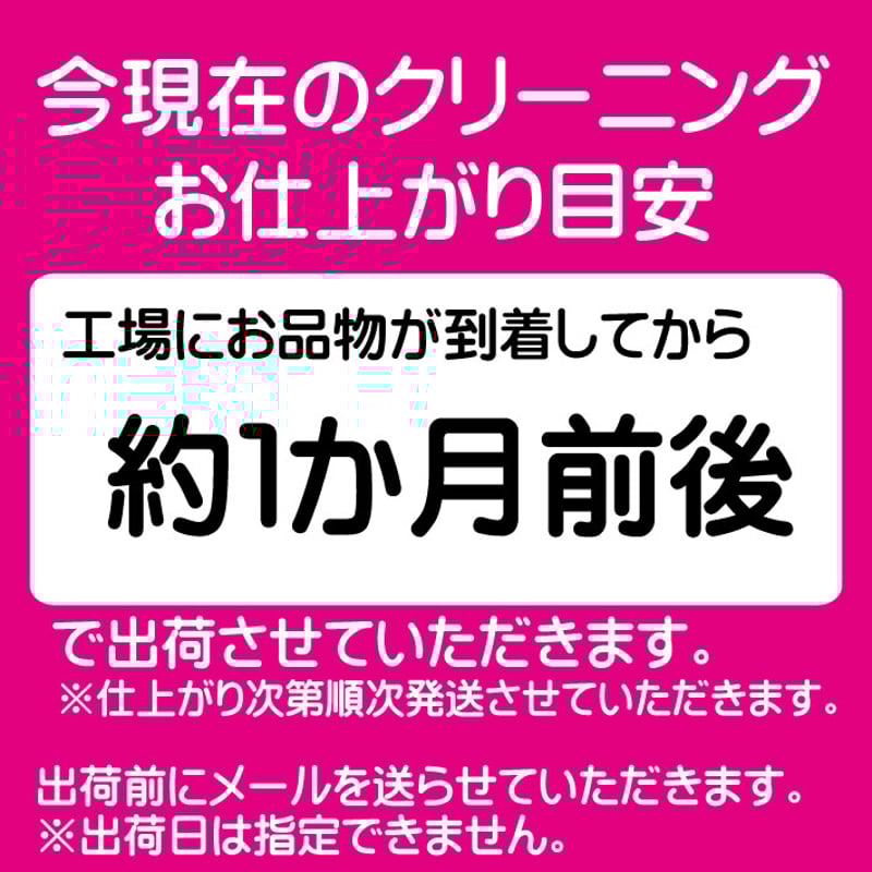 点数無制限詰め放題Lコース | 宅配クリーニングボニータ