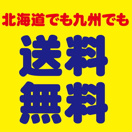 毛布２枚（シングル）クリーニング