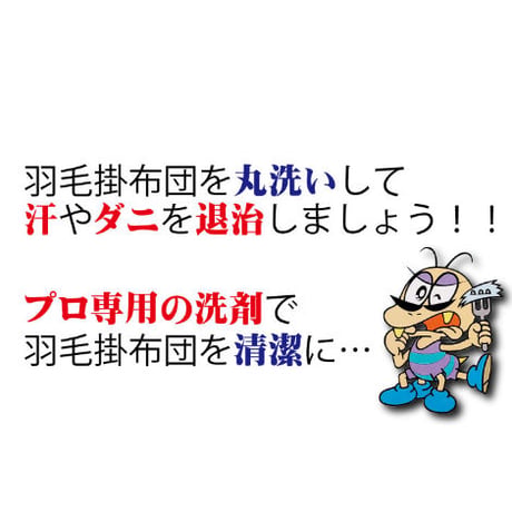 布団掛布団（中綿等）１枚