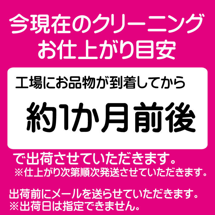 点数無制限詰め放題Lコース | 宅配クリーニングボニータ