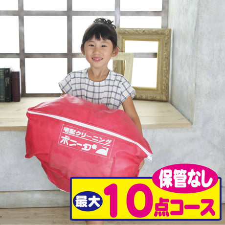 最大１０点コース