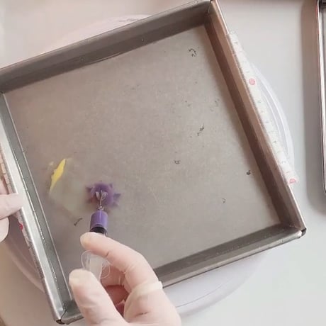 Pattern Roll Jelly Video Tutorial (Vimeo)