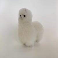 ELVANG (エルヴァン)　 Alpaca Teddy bear ぬいぐるみ White