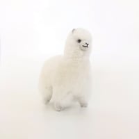 ELVANG (エルヴァン)　 Alpaca Teddy bear ぬいぐるみ White