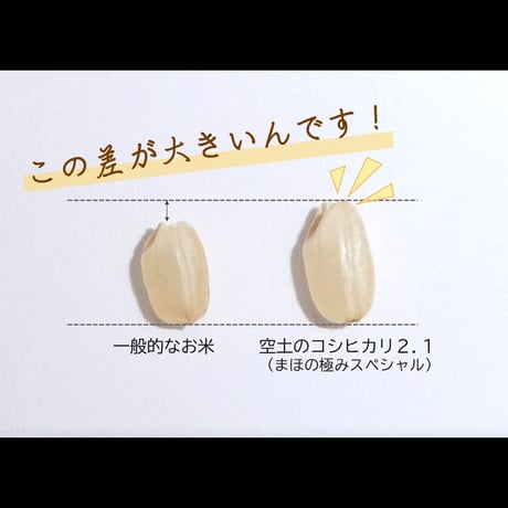 まほの極みスペシャル　コシヒカリ（精米）　2kg