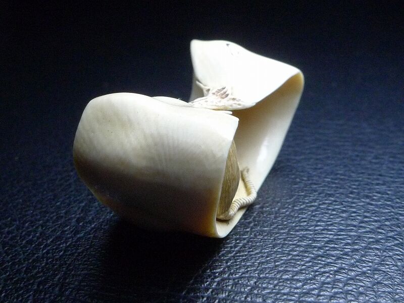 △松山作・本象牙鼠根付8g・提げ物△NE30△ | 象牙屋本舗 こほく堂 本