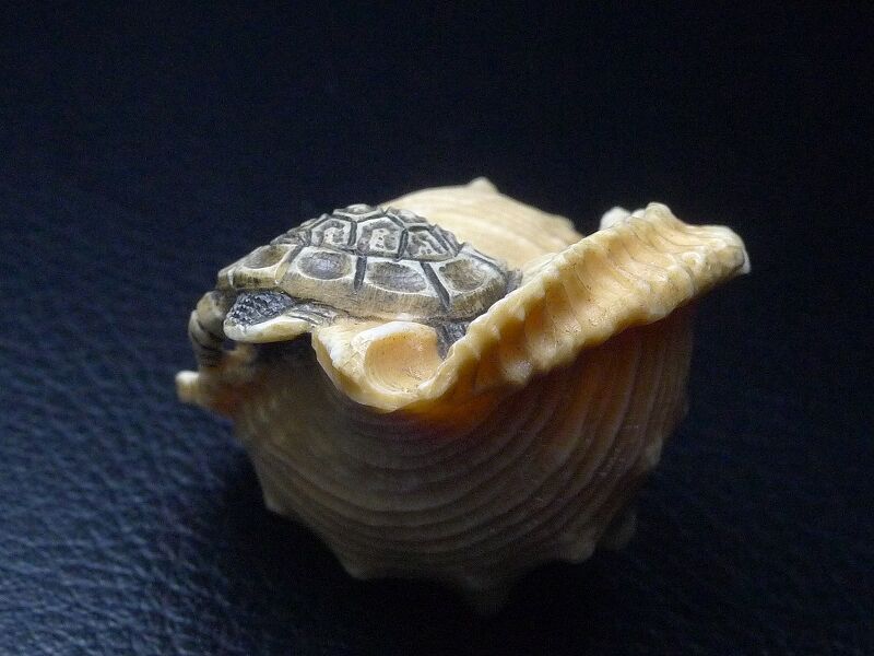 根付け　亀　蓮　象　牙 根付け 亀 蓮 象 牙 根付け 亀 蓮 象 牙