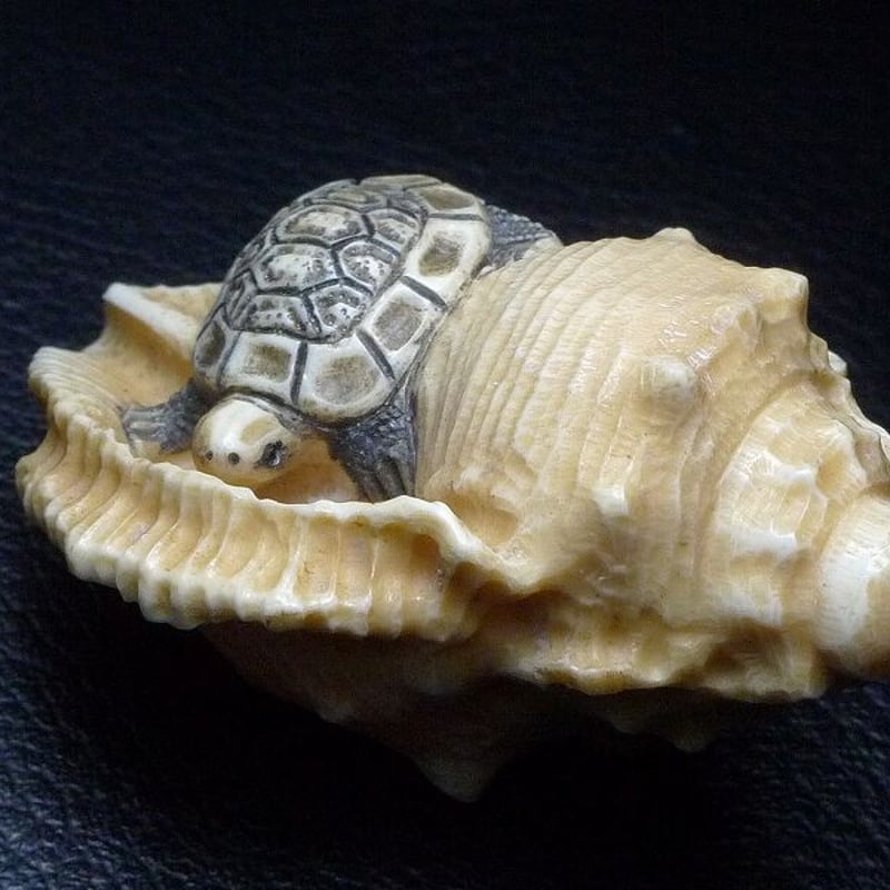 △友一作・本象牙法螺貝に亀根付24g・提げ物△NE76△ | 象牙屋本舗 こ