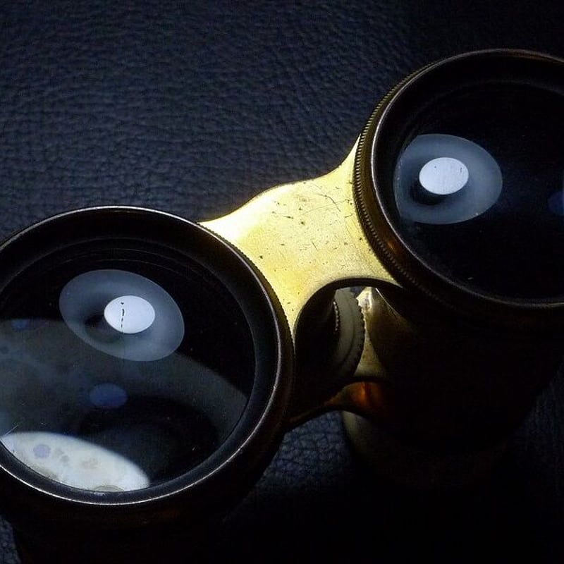 △アンティーク・本象牙材オペラグラス・304g△NE101△ | 象牙屋