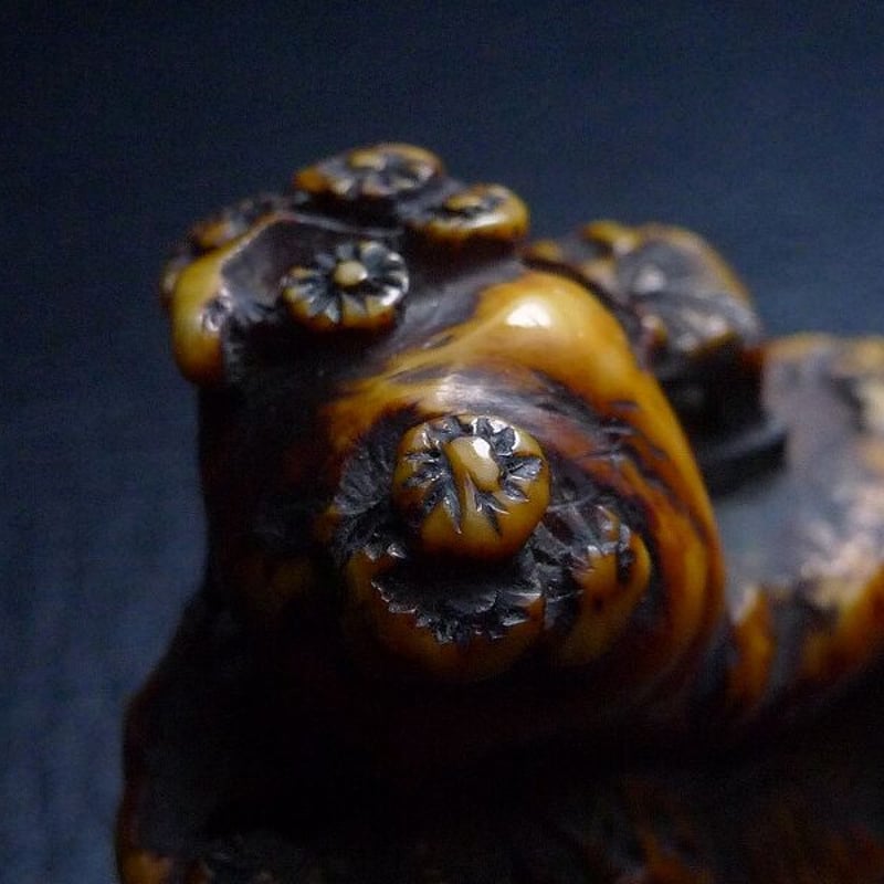 極上細密彫刻 双龍 根付 作家物 置物 古玩 骨董品 カバ牙製 篆刻 07-02-size-1200pix.jpg