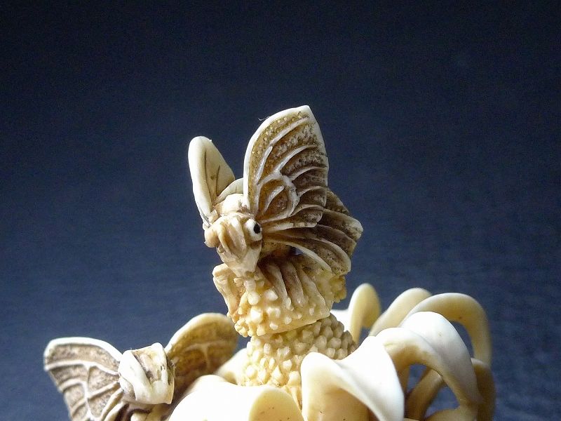 △松山作・本象牙花蝶彫刻鼻煙壷22g・細密彫刻△NE11△ | 象牙屋本舗