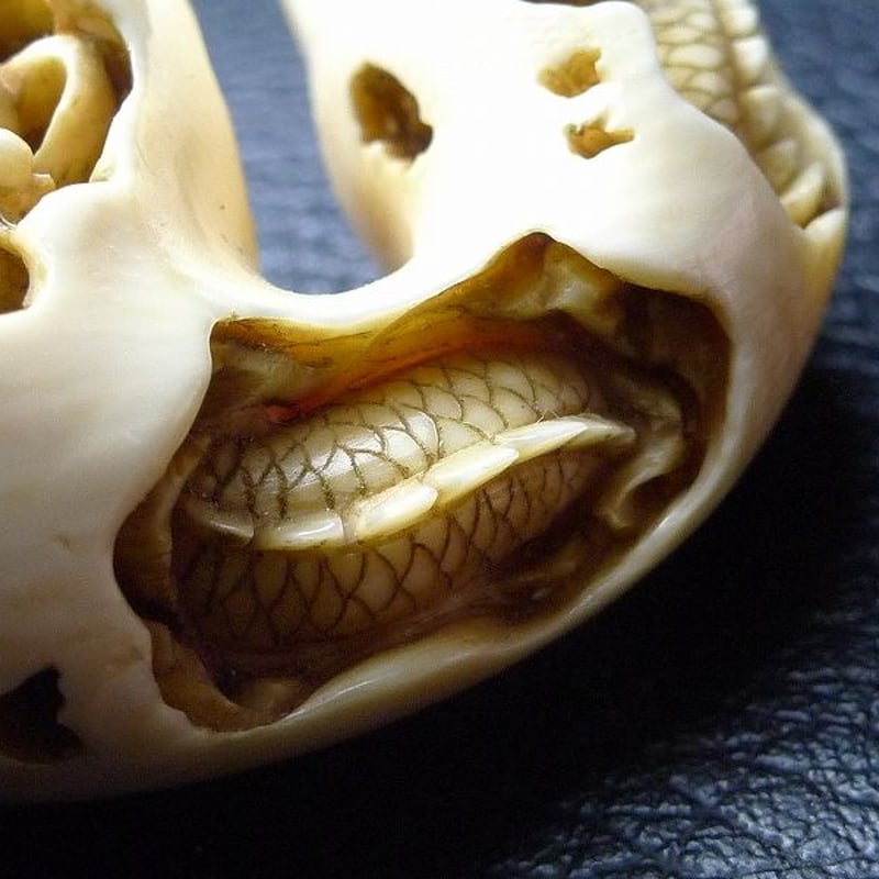 △松山作・本象牙龍根付27g・提げ物△NE5△ | 象牙屋本舗 こほく堂 本