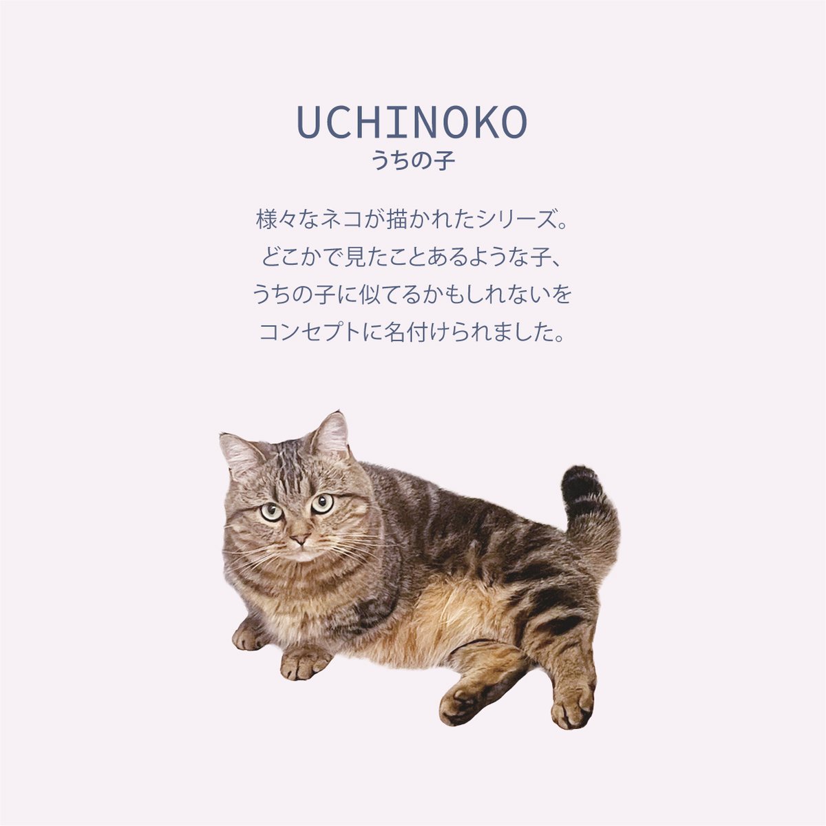 UCHINOKO舟形ﾎﾟｰﾁ | BuonaVita Online Shop