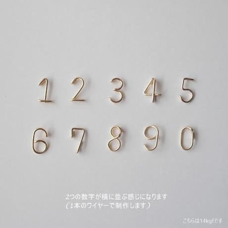 数字(ナンバー)2ケタチェーンアンクレット [シルバー925]
