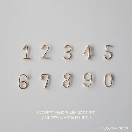 数字(ナンバー) 3ケタネックレス [シルバー925]