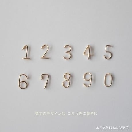 数字(ナンバー)ネックレス [シルバー925]