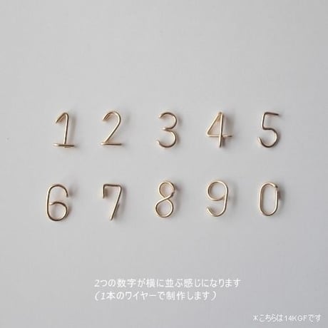 数字(ナンバー)2ケタネックレス [シルバー925]
