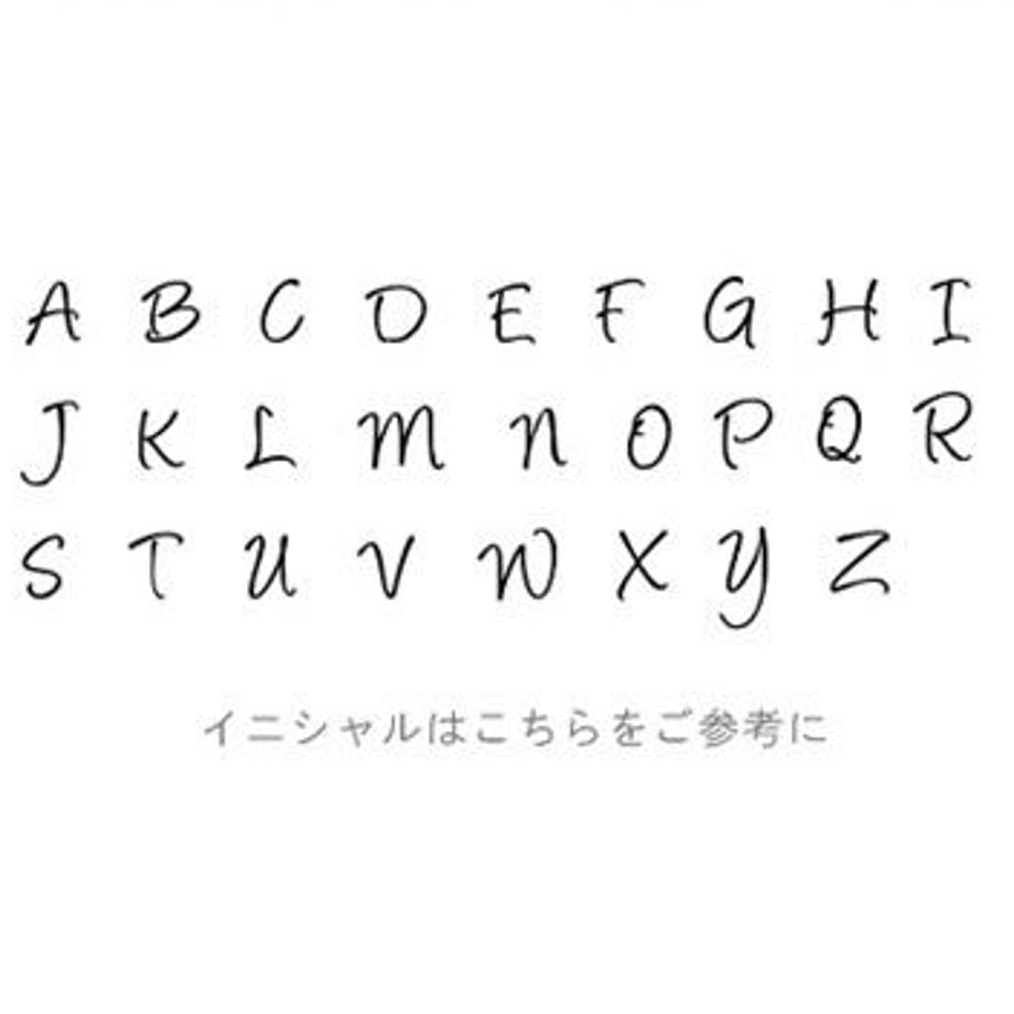63364513c808a45d58624fb5