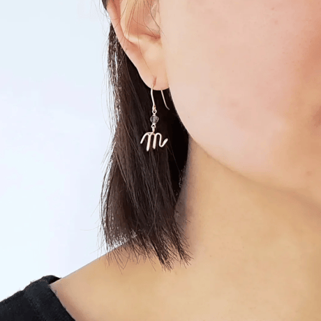 イニシャルと誕生石のフックピアス