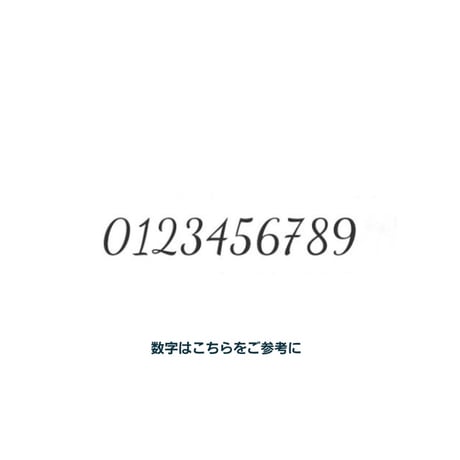 数字(ナンバー)4ケタプレートネックレス