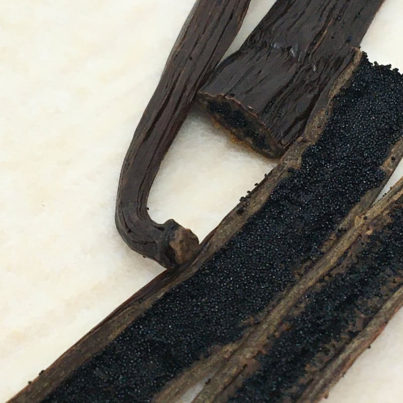 お陰様で売り切れました バニラビーンズ1Kg
