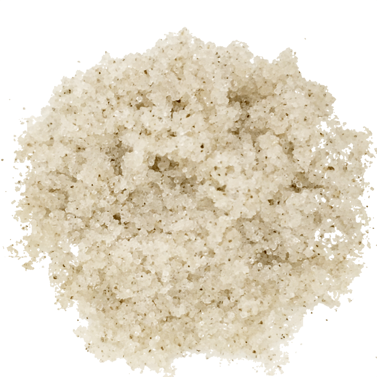 バニラ塩 | バニラビーンズ と バニラパウダー