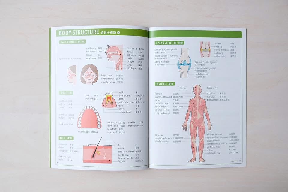 病院・大学におすすめ！】30冊まとめ買いパック 医療通訳ブックHELP