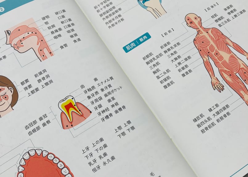 医療通訳ブックHELP YOU 中国語 ver. 1冊 | 医療の指さし会話帳『HELP