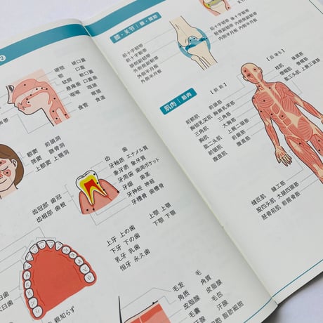 学習参考書 | STORES