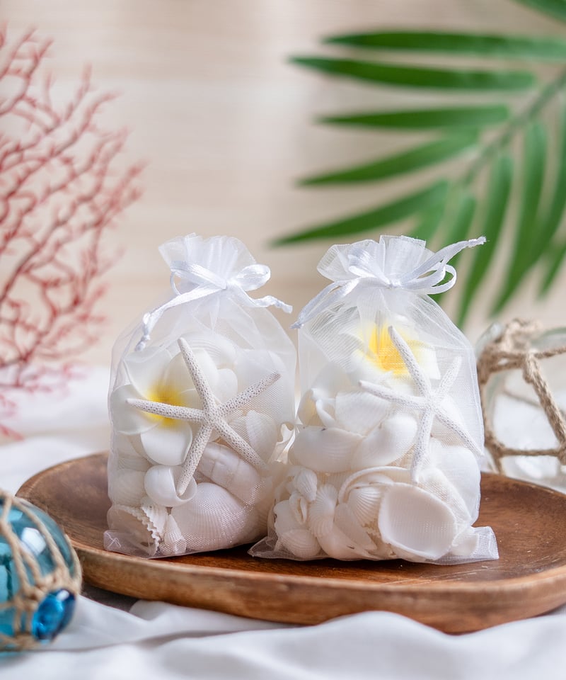 ホワイトビーチシェルミックス（貝殻・シーグラス・スターフィッシュ