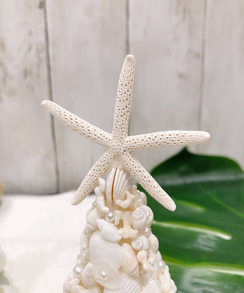 shell light clear。シェルライト ヒトデ パールstarfish shell light clear。シェルライト ヒトデ パールstarfish shell light