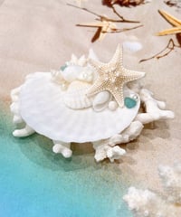 海辺のシェルトレイ　SHELOOMオリジナル