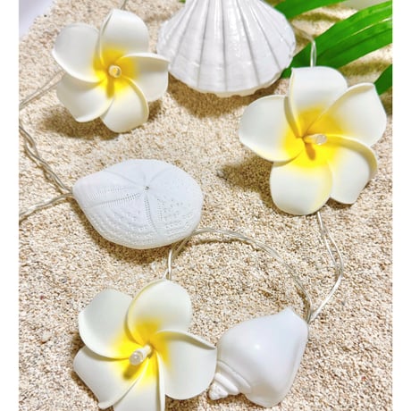 貝殻雑貨 Amazon.co.jp: siawadeky カラフル 貝殻 500g アソート セット