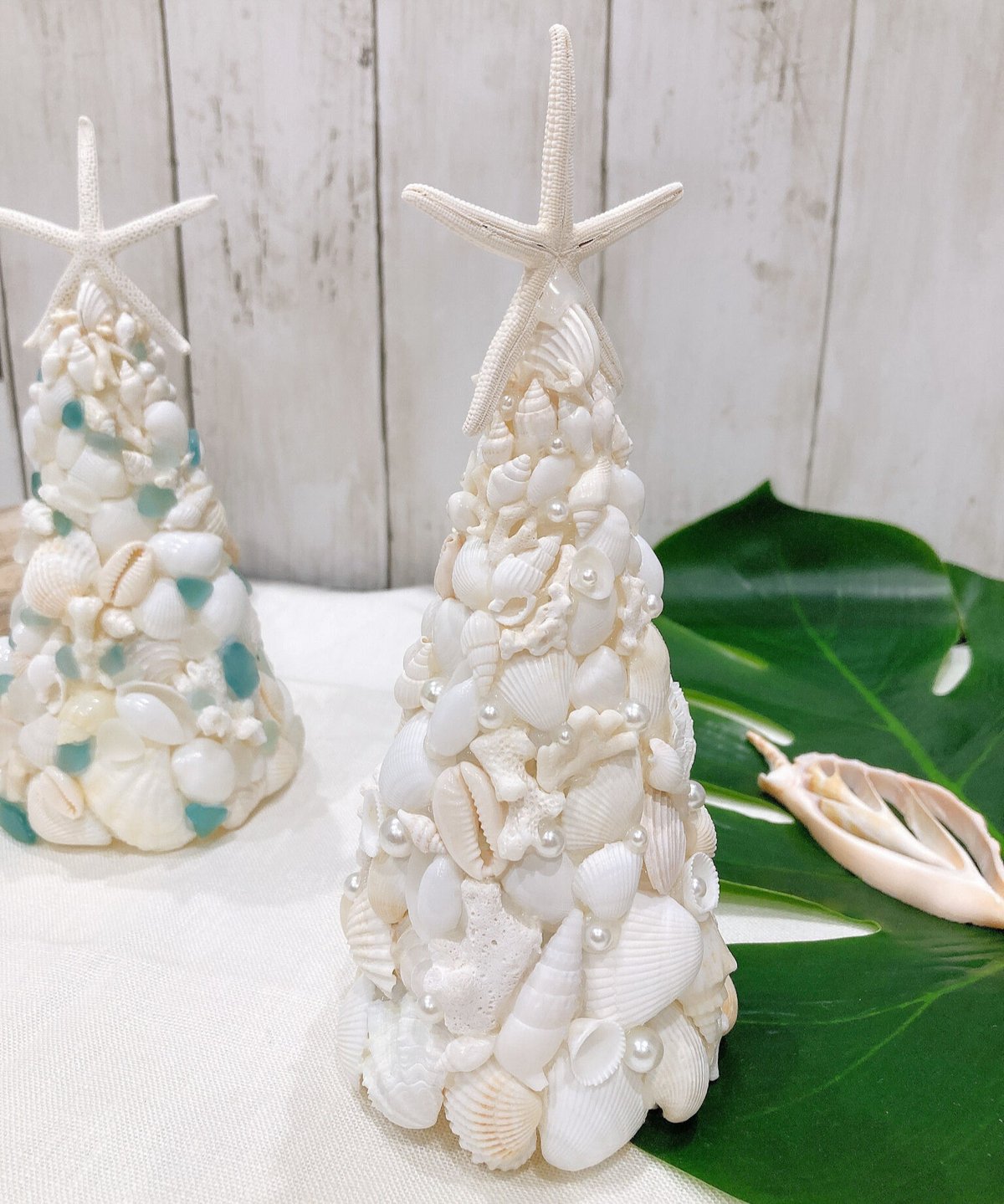 シェルツリーライト・　❤︎ ナチュラル　❤︎ M .L シェルツリーライト・❤︎ ナチュラル❤︎ M .L