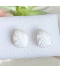 ホワイトシェルのワンポイントピアス　SHELOOMオリジナル