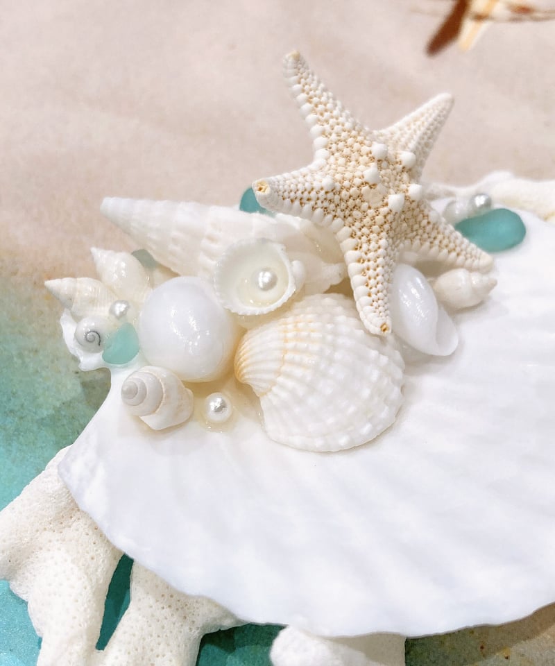 海辺のシェルトレイ SHELOOMオリジナル | SHELOOM （シェルーム） 海